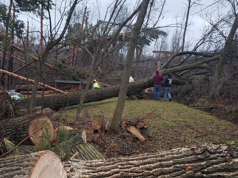 /pictures/Trail Clean Up 2018/20181104_075155.jpg